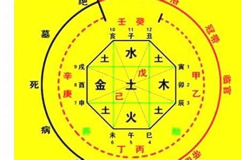 八字 木|免費生辰八字五行屬性查詢、算命、分析命盤喜用神、喜忌